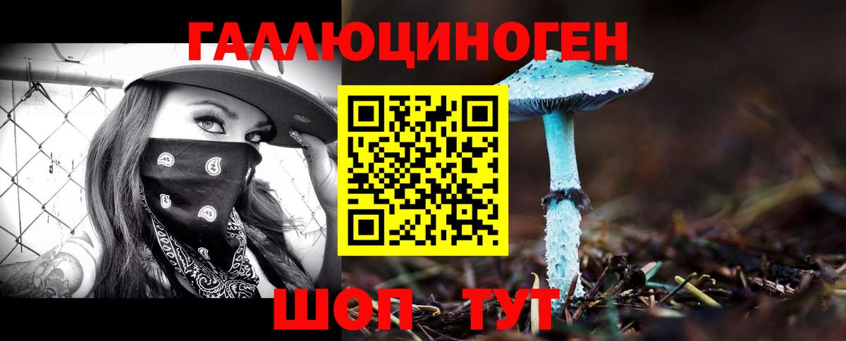 где найти наркотики  Псилоцибиновые грибы GOLDEN TEACHER  Вход с VPN  Электрогорск 