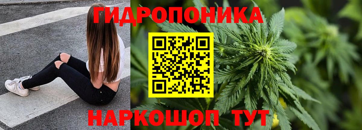 Электрогорск  Марихуана конопля  Вход с VPN  Каннабис SATIVA & INDICA  Шишки марихуана тримм 